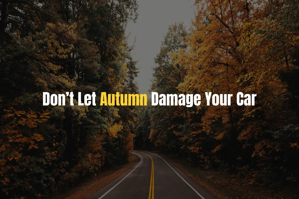Don’t Let Autumn Damage Your Car