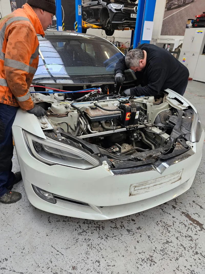 our work gallery (7)